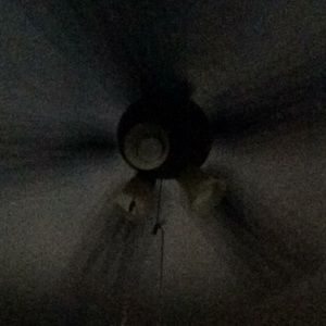 Meet your Posher, Marisol